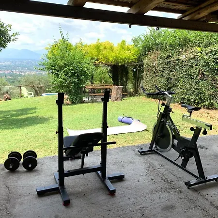 Vincland Cassino